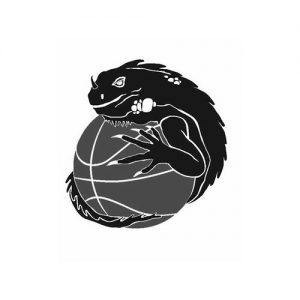 Logo RBB Iguanas